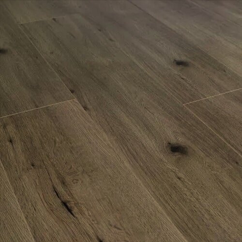 Mercury Orbit Oak