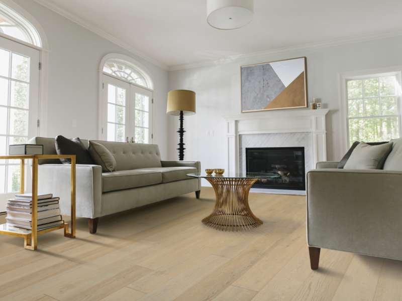 Light beige carpet flooring in a living room